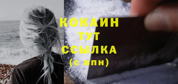 кокс Белокуриха