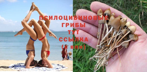 дурь Белоозёрский
