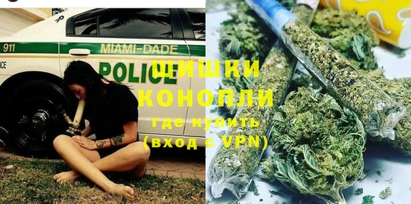 кокс Белокуриха