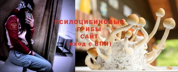 кокс Белокуриха
